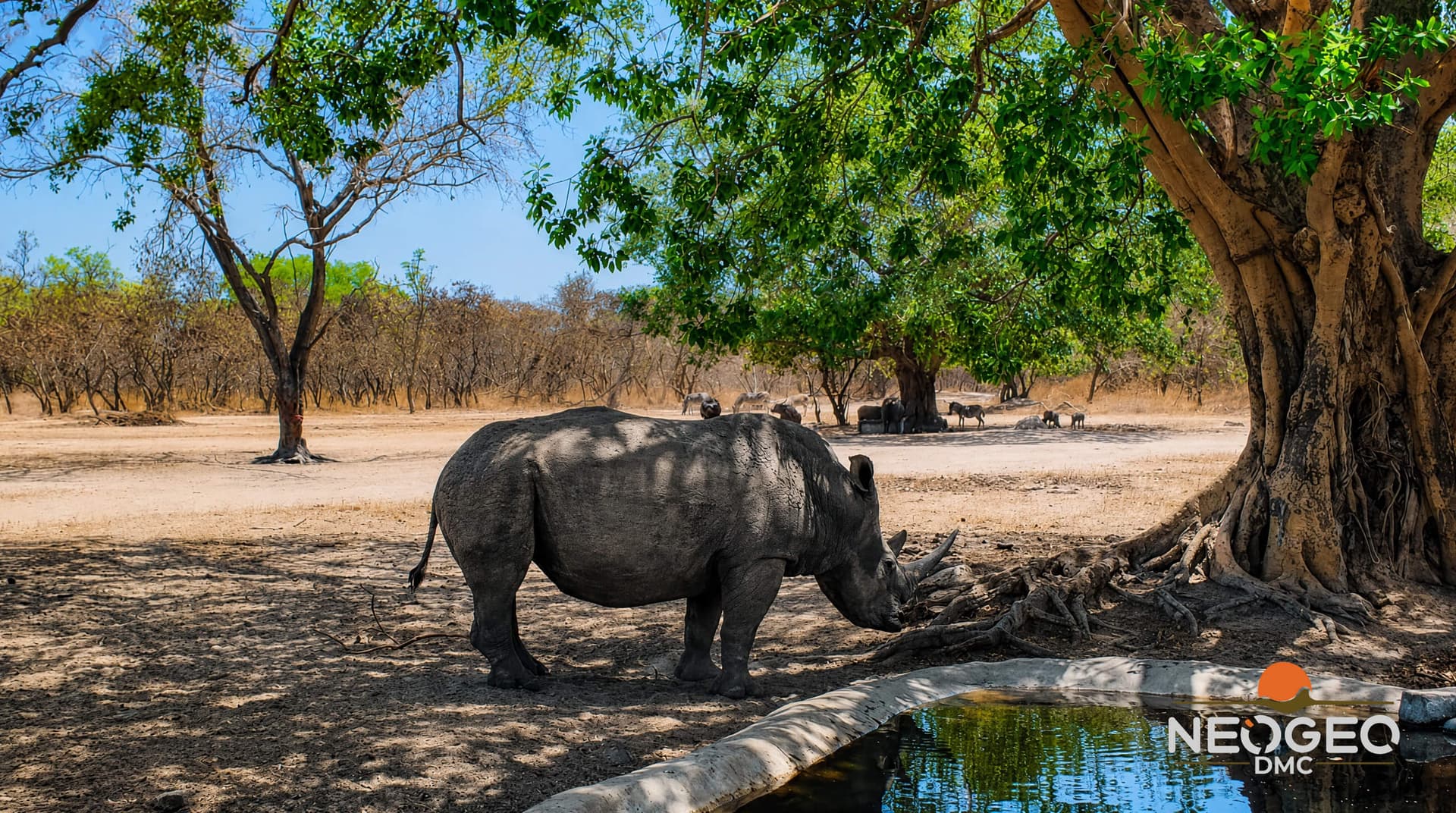 Escursione al parco safari di Fathala da Banjul