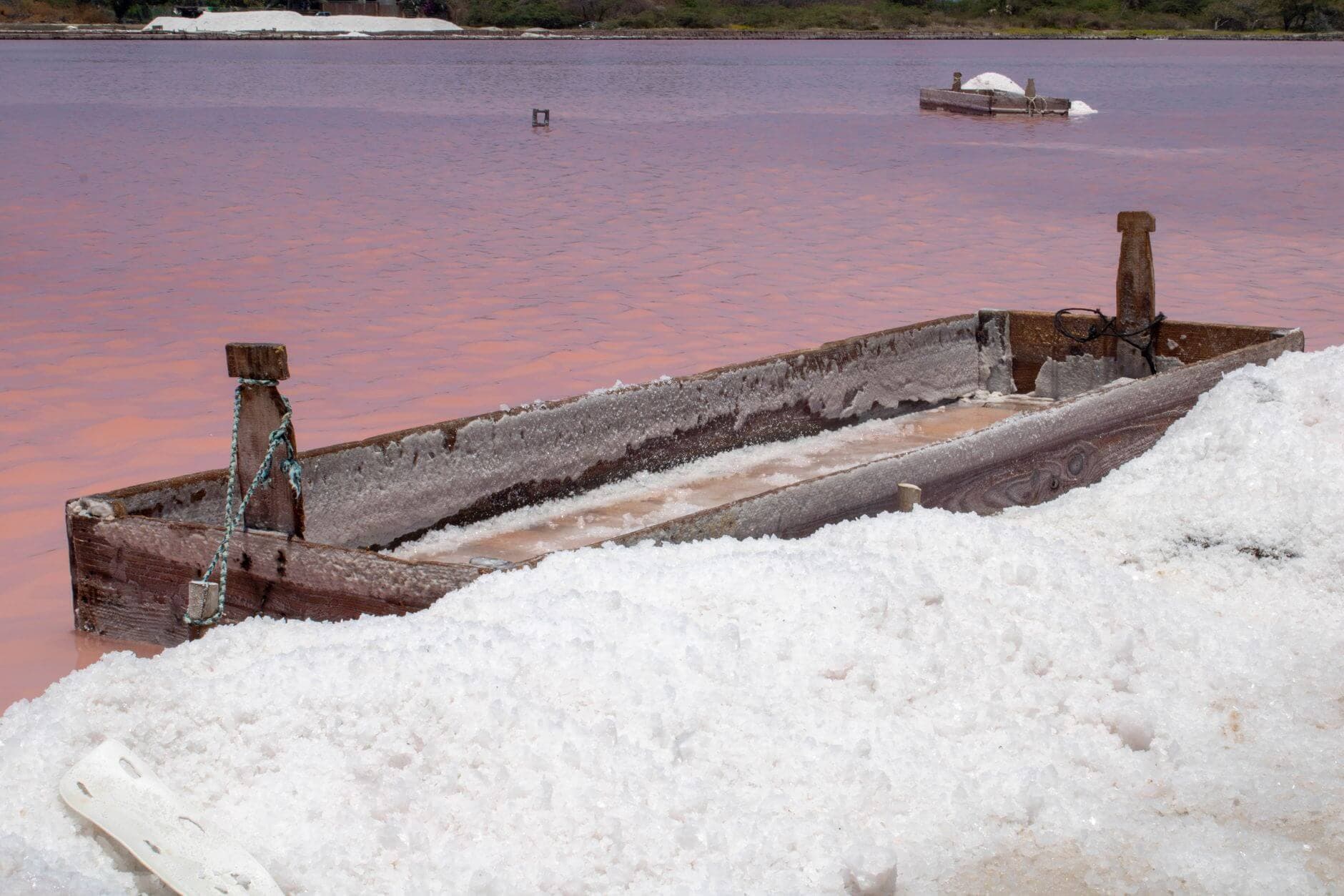 Vista aérea del Lago Rosa de Senegal con sus aguas de color rosado intenso y recolectores de sal