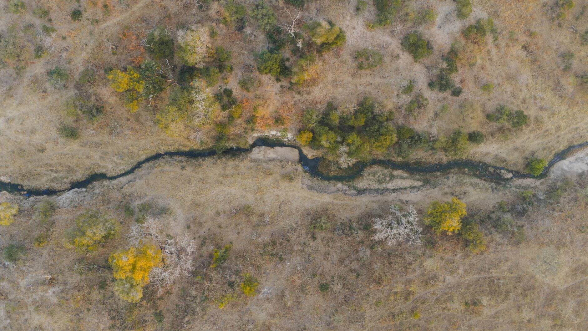 Paisaje de Senegal durante la época seca con cielo azul despejado y vegetación africana